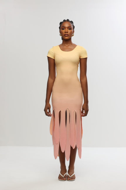 Aluka | Kaya Laser-cut Dress