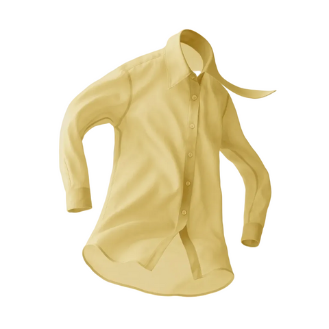 BÚDZIKO | LOUVRE COLLAR SHIRT