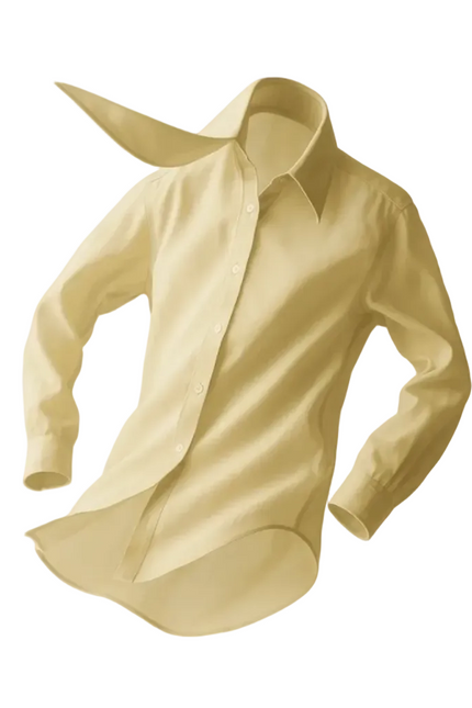 BÚDZIKO | LOUVRE COLLAR SHIRT