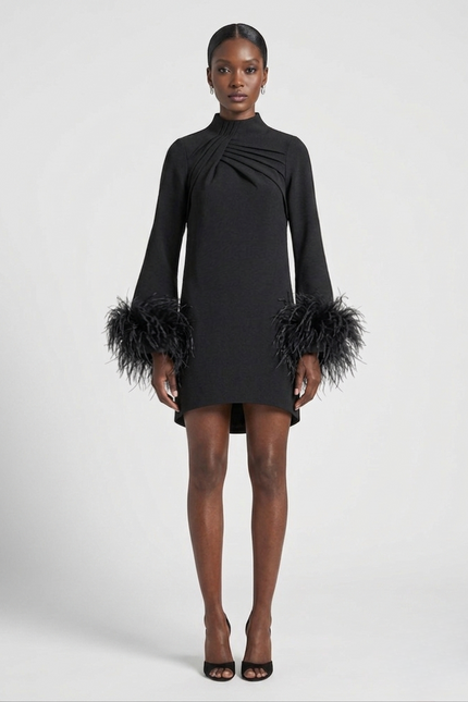 Black dress with feather details on sleeves and hem against a white background