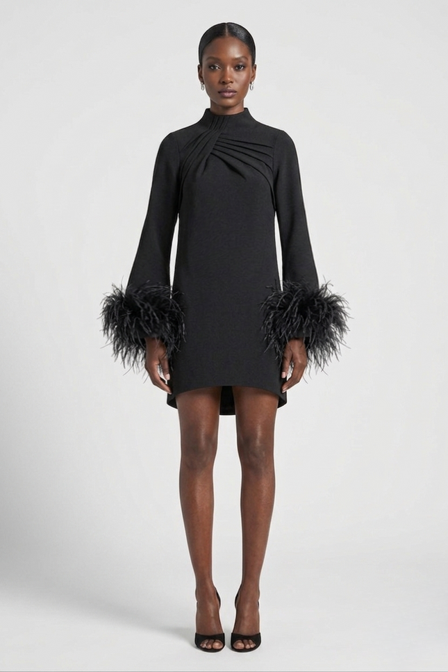 Black dress with feather details on sleeves and hem against a white background