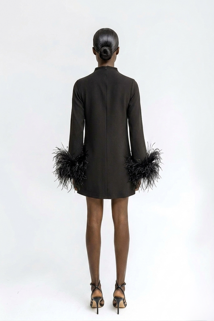 Black dress with feathered sleeves worn by a model on a white background
