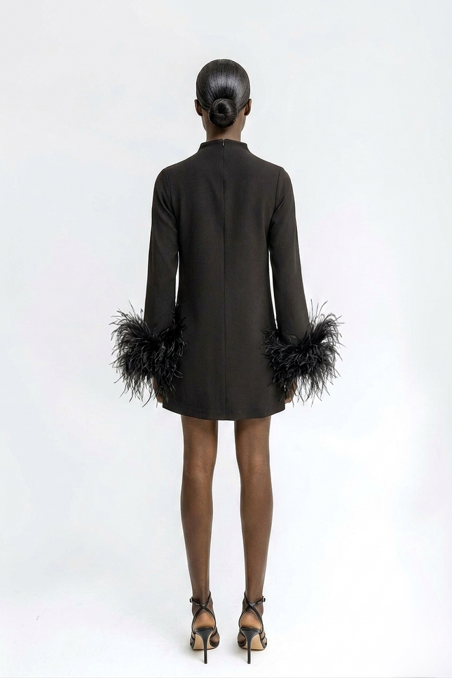 Black dress with feathered sleeves worn by a model on a white background