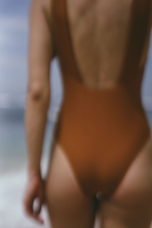 A Perfect Nomad | Hydra swimsuit, brown
