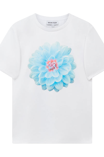 Botanical print T-shirt in soft pastel blue by Sour Figs