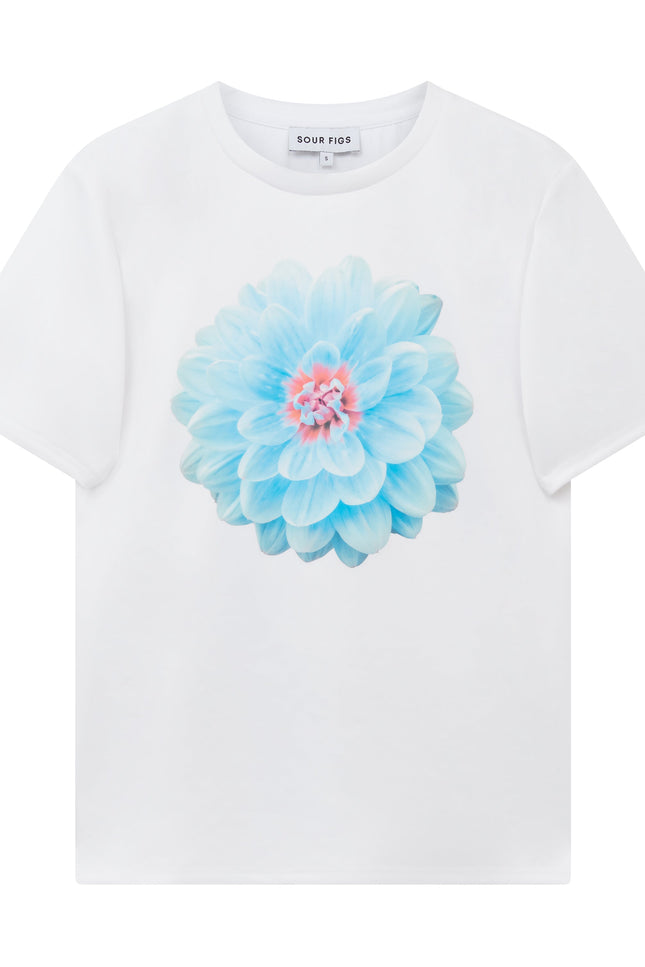 Botanical print T-shirt in soft pastel blue by Sour Figs