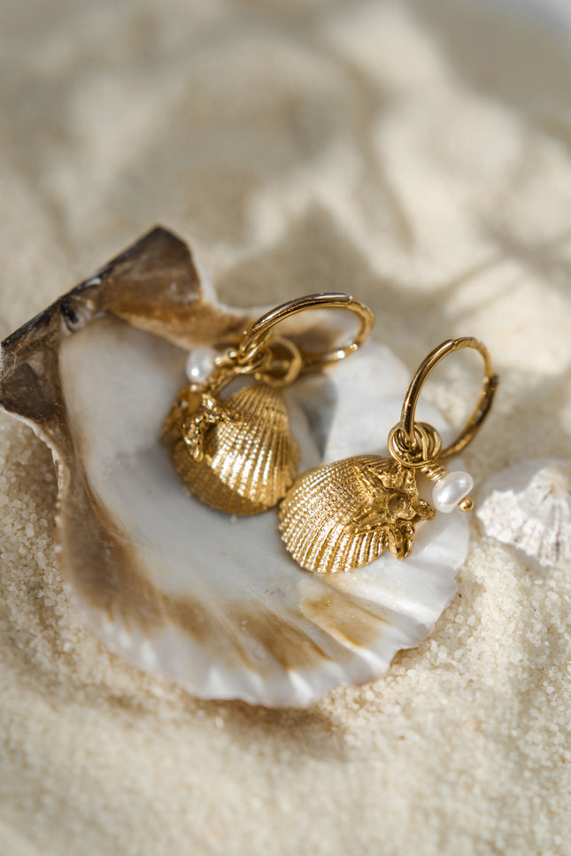 Pezi Jewellery | Venus shell x Asterias earring