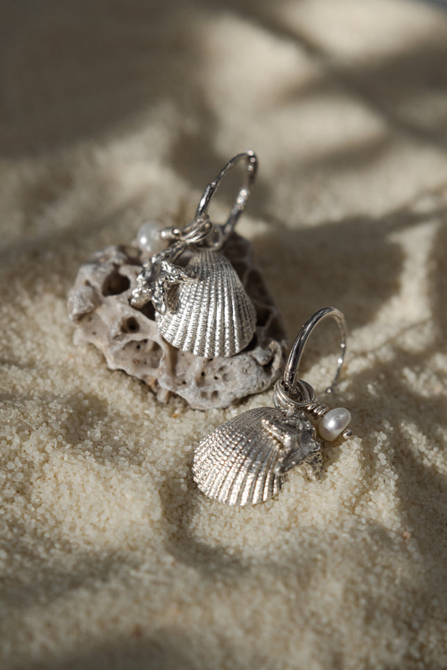 Pezi Jewellery | Venus shell x Asterias earring