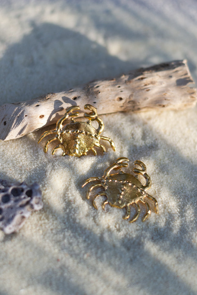 Pezi Jewellery | Carcinos earring