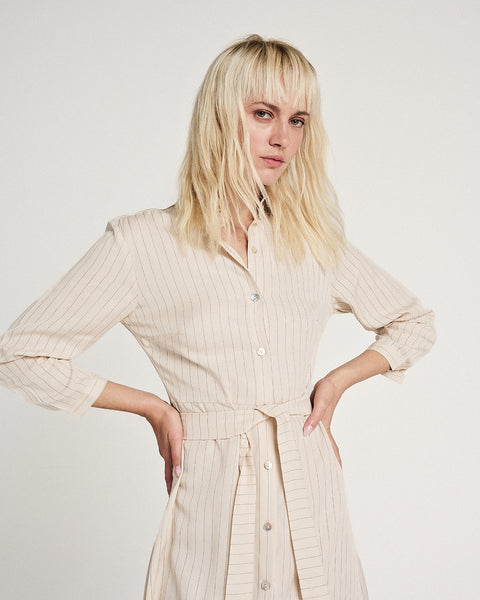 Elizabeth LaGre | Pinstripe Shirt Dress