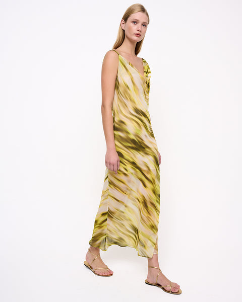 Elizabeth LaGre | Acapulco Print Midi Dress