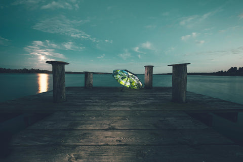 HappySweeds I Leśny Parasol