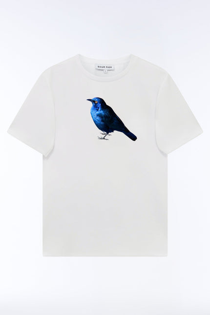 White SOUR FIGS crew-neck T-shirt with a greater blue-eared starling print in vivid blue with a yellow eye.