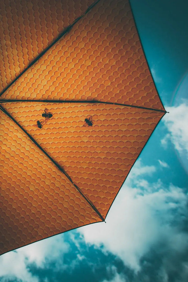 HappySweeds I Honey Umbrella