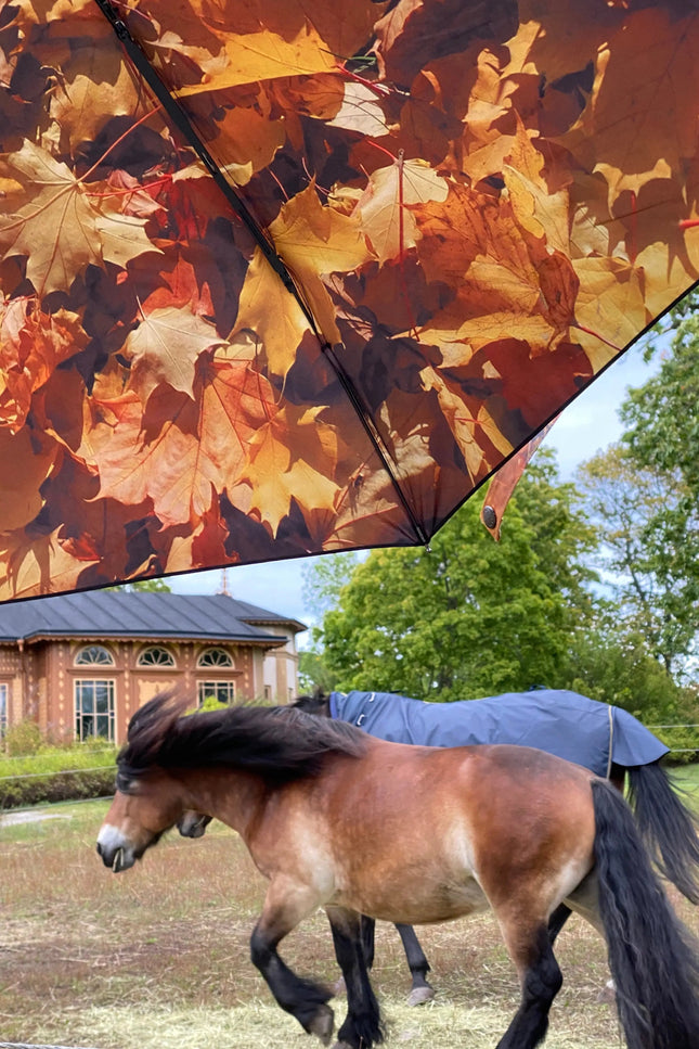 HappySweeds I Höst Umbrella