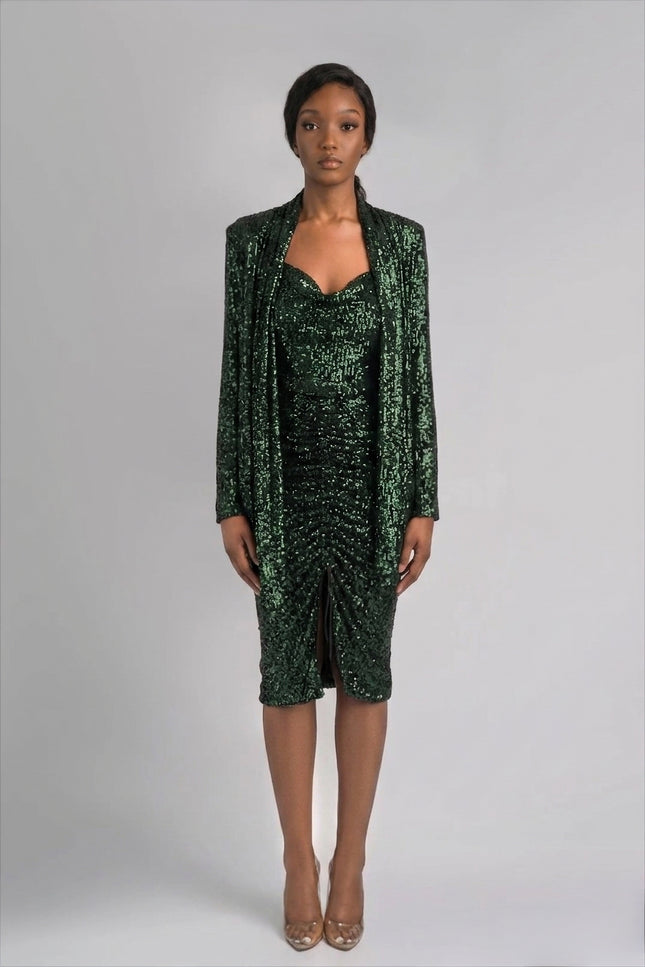 Anitabel | FINN HIGH WAIST SEQUIN SKIRT