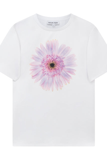 Sour Figs oversized white T-shirt with pink and lilac gerbera illustration