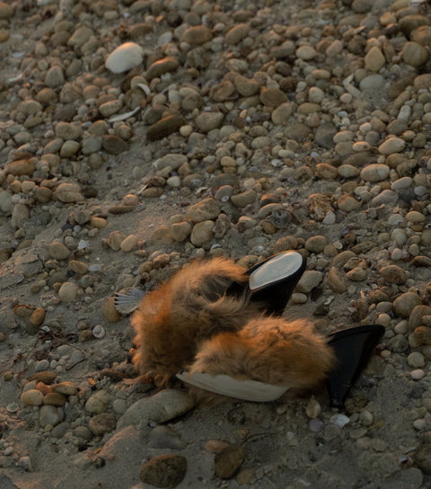 O2 Monde | Veles Sandals fur beige