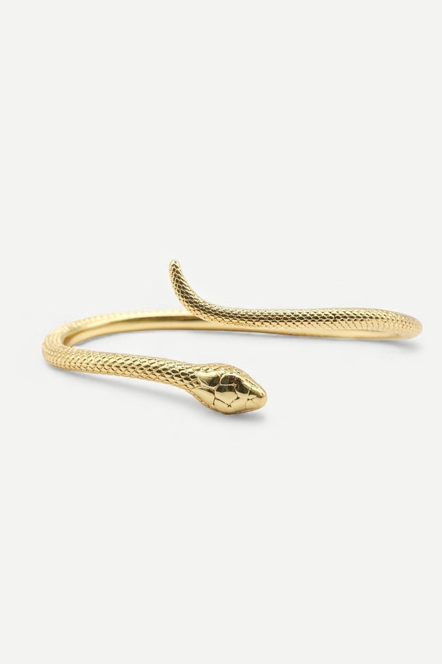 Miss Cecilia | The Serpent Bangle