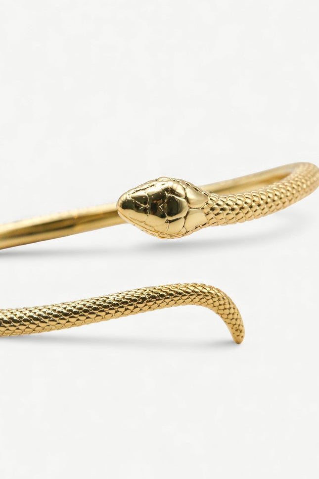 Miss Cecilia | The Serpent Bangle