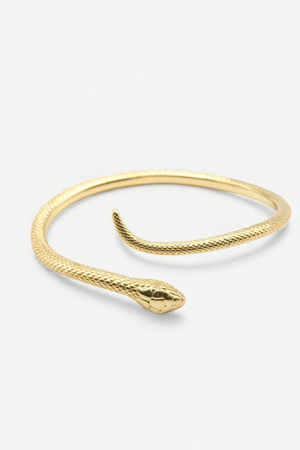 Miss Cecilia | The Serpent Bangle