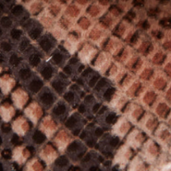 O2 Monde | Leela Slippers cuoio