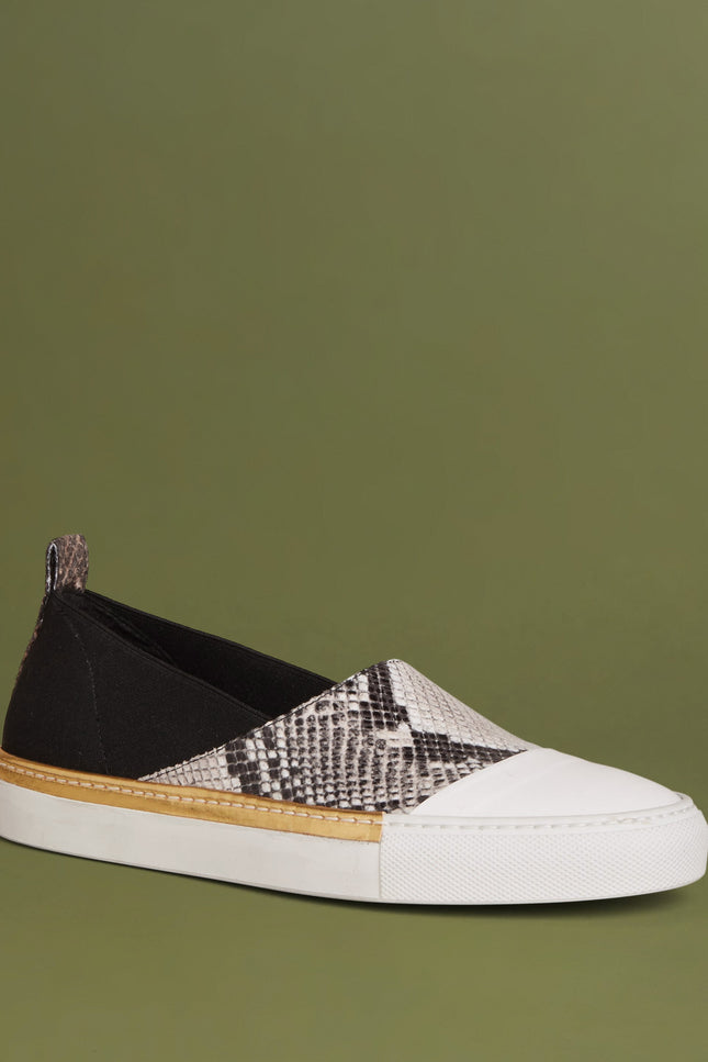 O2 Monde | Shalvi Flats roccia snake