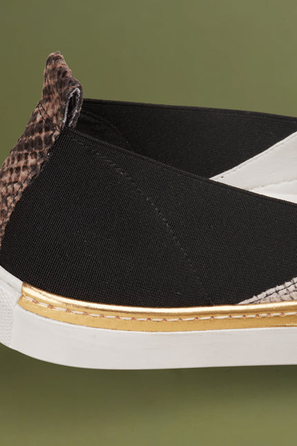 O2 Monde | Shalvi Flats roccia snake