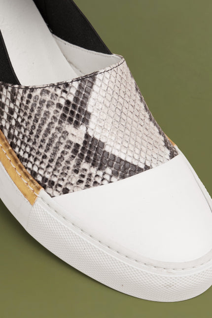 O2 Monde | Shalvi Flats roccia snake