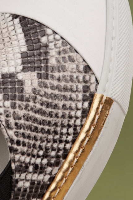 O2 Monde | Shalvi Flats roccia snake