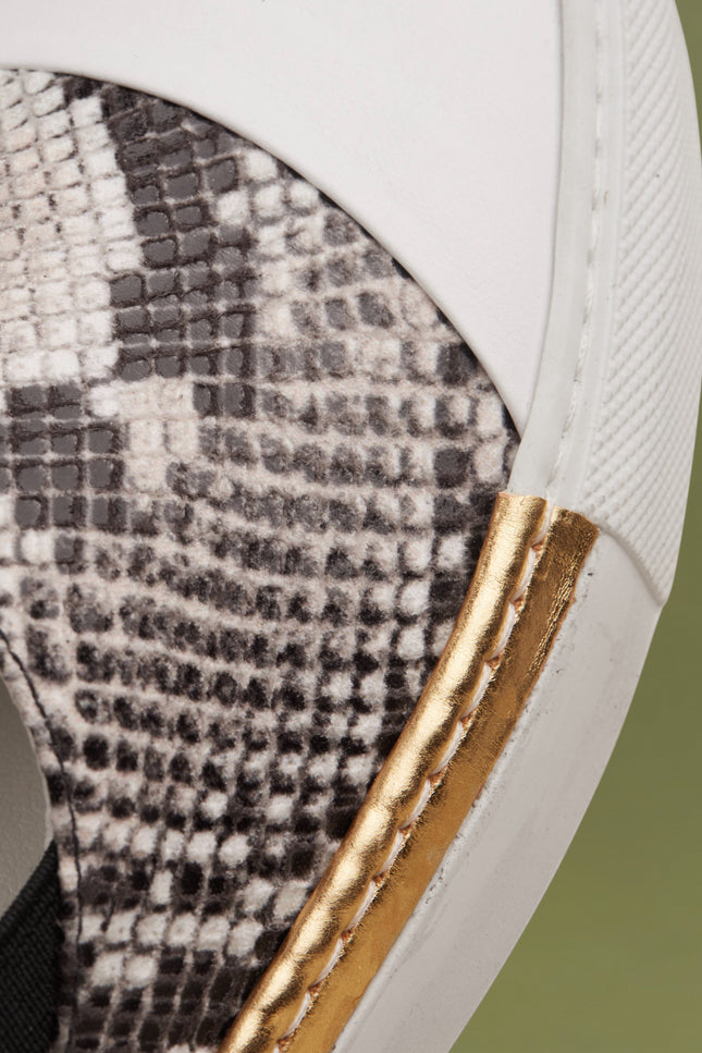 O2 Monde | Shalvi Flats roccia snake