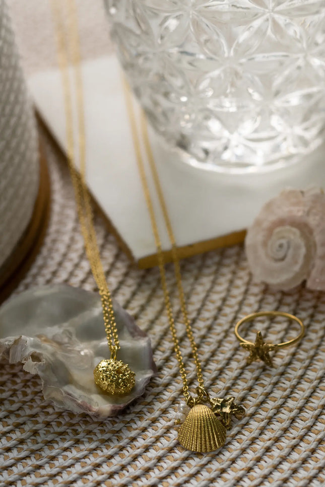Pezi Jewellery | VENUS SHELL x ASTERIAS Necklace