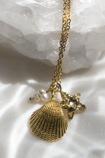 Pezi Jewellery | VENUS SHELL x ASTERIAS Necklace