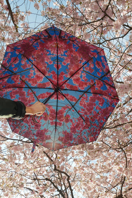 Cherry Blossom Umbrella – Elegance, Windproof & UPF50+.