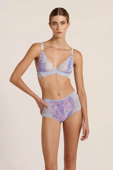 Luciela | WISTERIA LACE HIPSTER BRIEF
