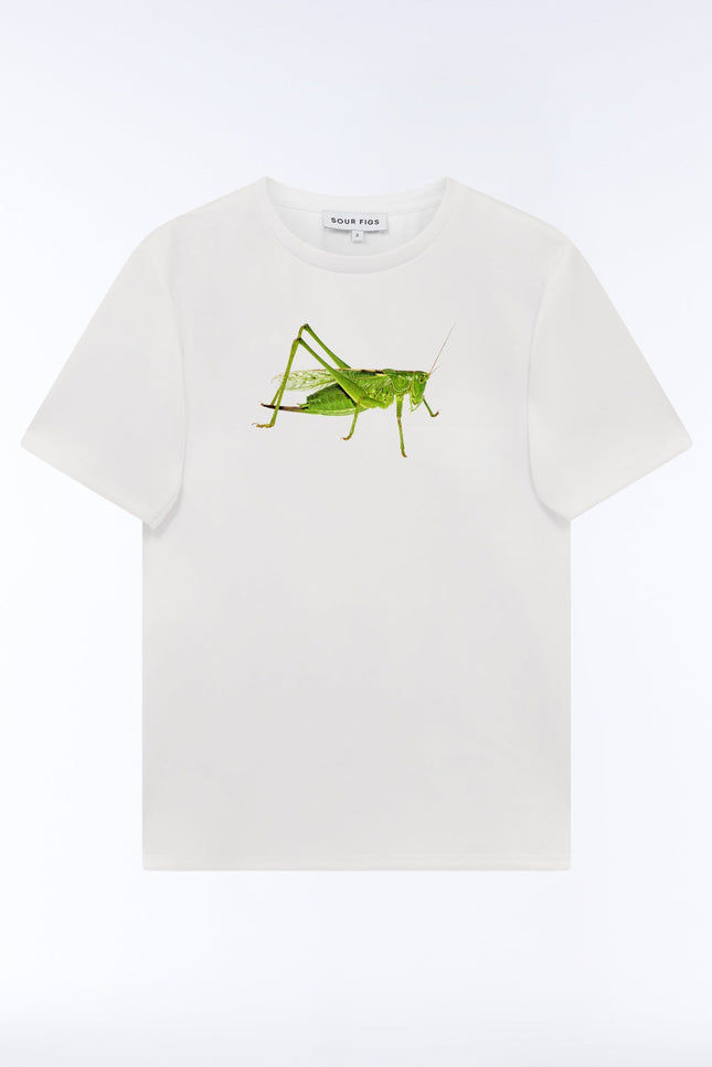 An off-white short-sleeve crewneck t-shirt featuring a detailed green bush cricket or grasshopper graphic printed on the center chest, displayed against a clean white background.