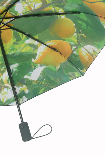 Lemon Umbrella – Vibrant, Windproof & UPF50+ Protection.