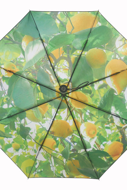 Lemon Umbrella – Vibrant, Windproof & UPF50+ Protection.