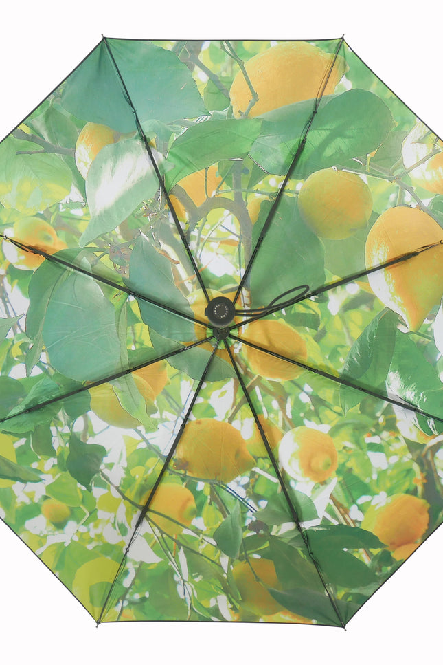 Lemon Umbrella – Vibrant, Windproof & UPF50+ Protection.