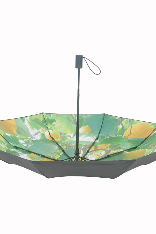 Lemon Umbrella – Vibrant, Windproof & UPF50+ Protection.