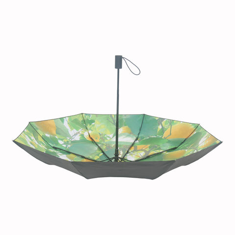 HappySweeds I Lemon Umbrella