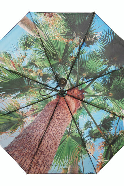 Paradise Umbrella – Tropical, Windproof & UPF50+ Protection.