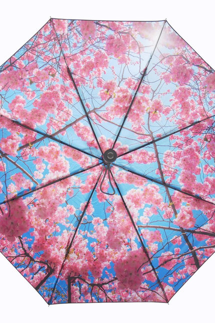 Cherry Blossom Umbrella – Elegance, Windproof & UPF50+.