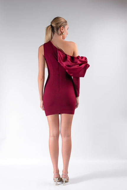 a woman wearing the Megan mini dress by  ANITABEL in burgundy posed against a white background.