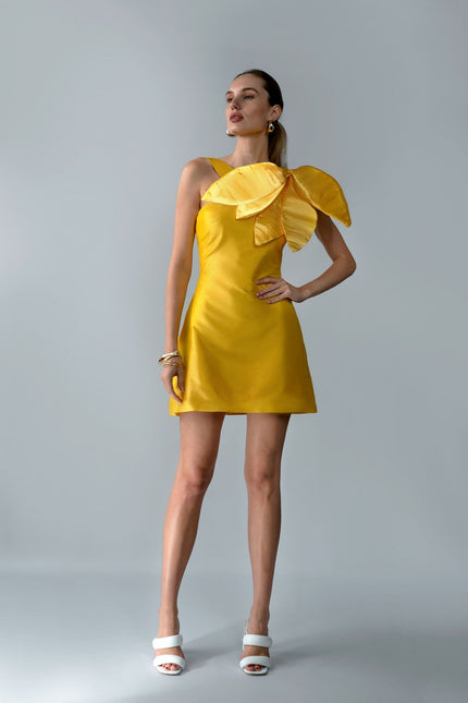 Anitabel | SONG MINI DRESS
