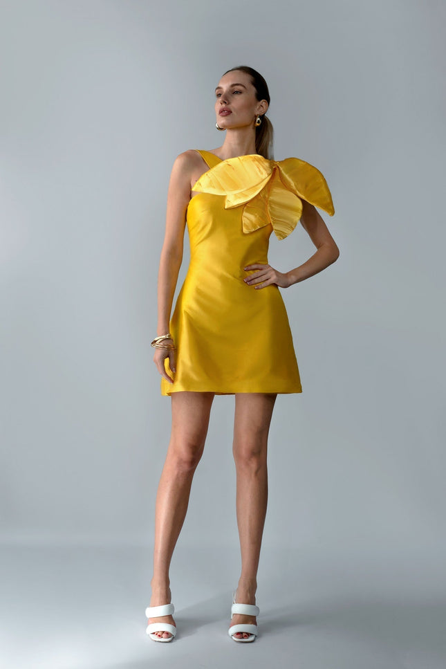 Anitabel | SONG MINI DRESS