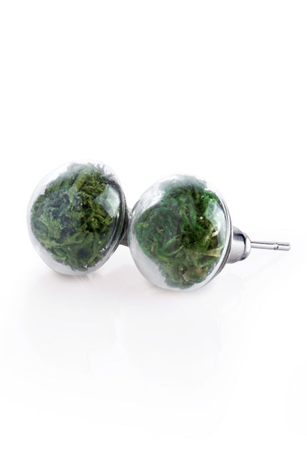My Little Nature I Stud Earrings With Natural Green Moss
