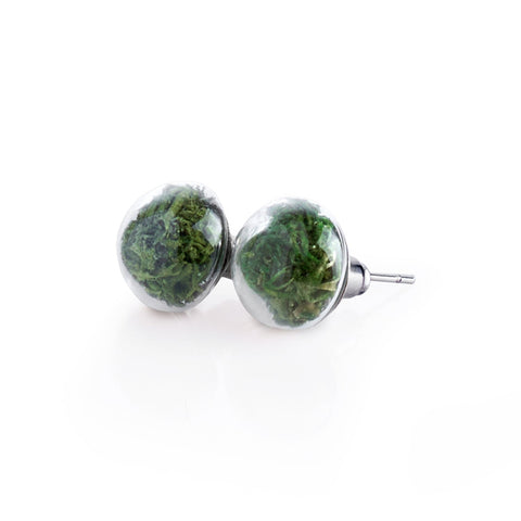My Little Nature I Stud Earrings With Natural Green Moss