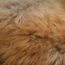 O2 Monde | Veles Sandals fur beige