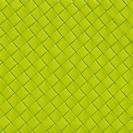 Lilly Loves | Kinda Chic Green Handbag